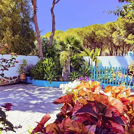 Zahara Chalet *